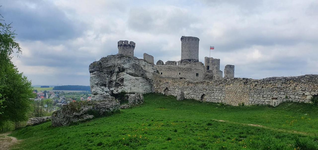 Hucisko  Skalny Widok 빌라 외부 사진